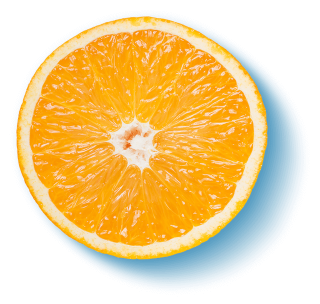 Orange Slice