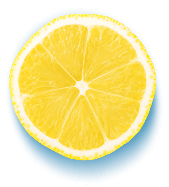 Lemon Slice
